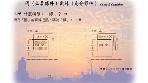 113【所有「因」的條件成熟，稱為「緣」】630718