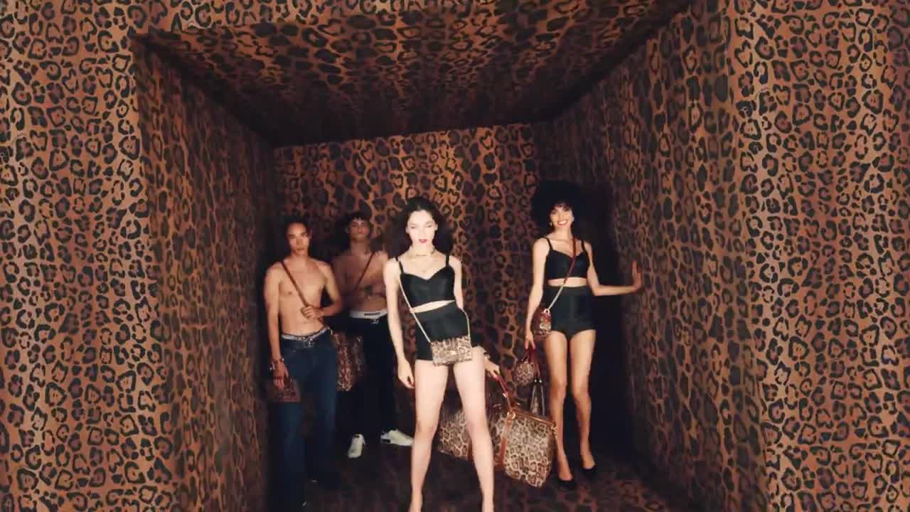 D G Leo Exclusive Collection