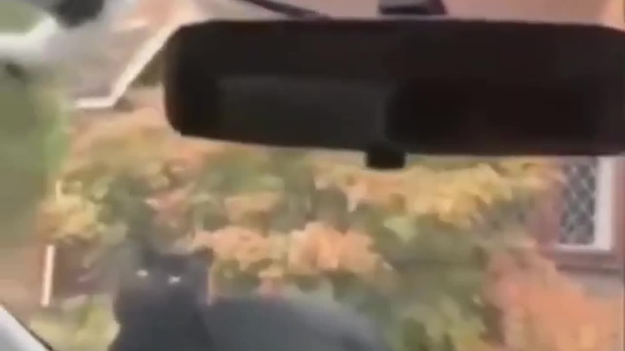Funny 🐈😺 Cat videos