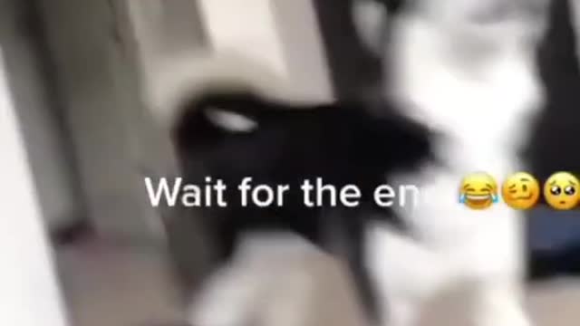 y'all gonna love this