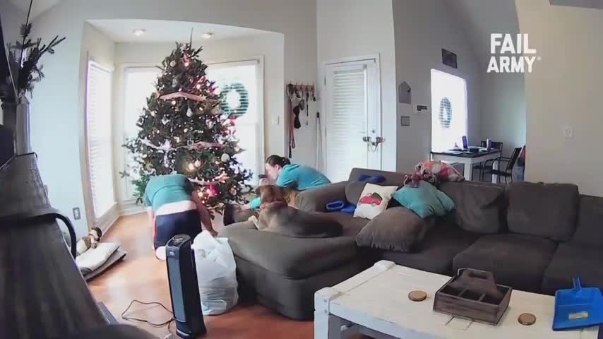 funny| Christmas tree fails