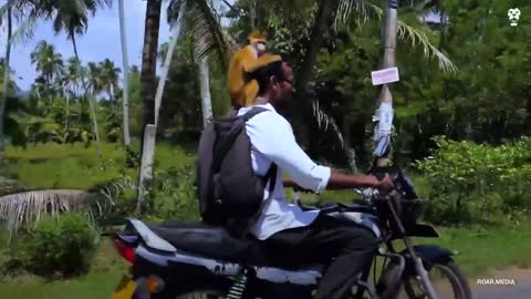 This wonderful man saves animals