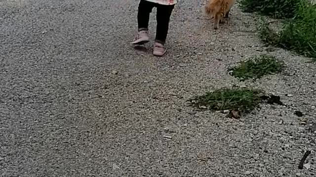 Funny cat with cute little girl