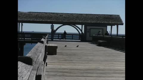 Just another sunny winters day on Tybee Island, Georgia