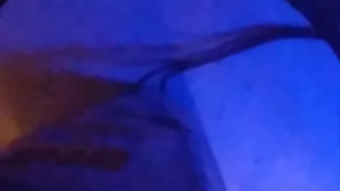 Part of a lesson with ahchyam of GMS g.r camp