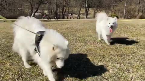 Had fun in the park today