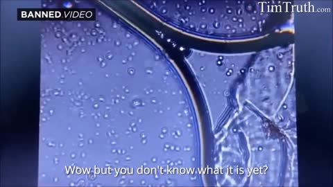 BREAKING : DO NOT TAKE THE PHIZHER JAB !!! TNTV