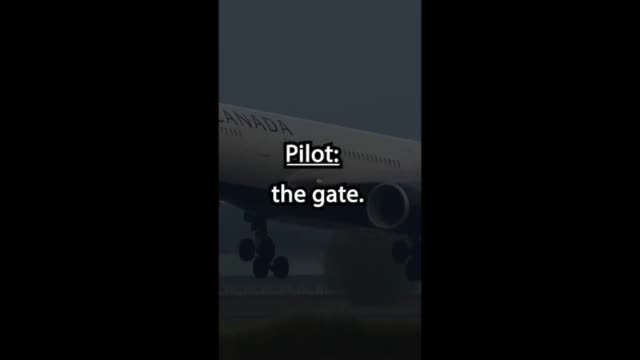 Pilots Roast Other Pilot