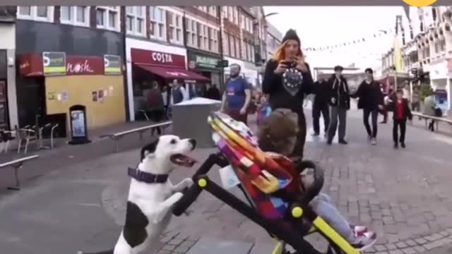 Cute baby playing with baby dog