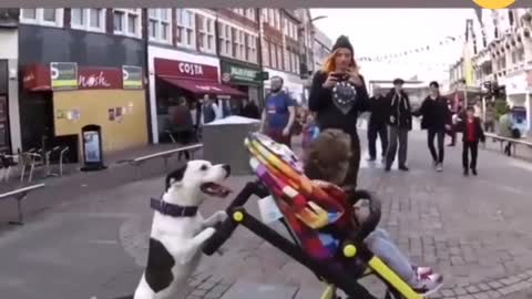 Cute baby playing with baby dog