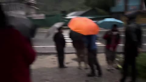 funny video