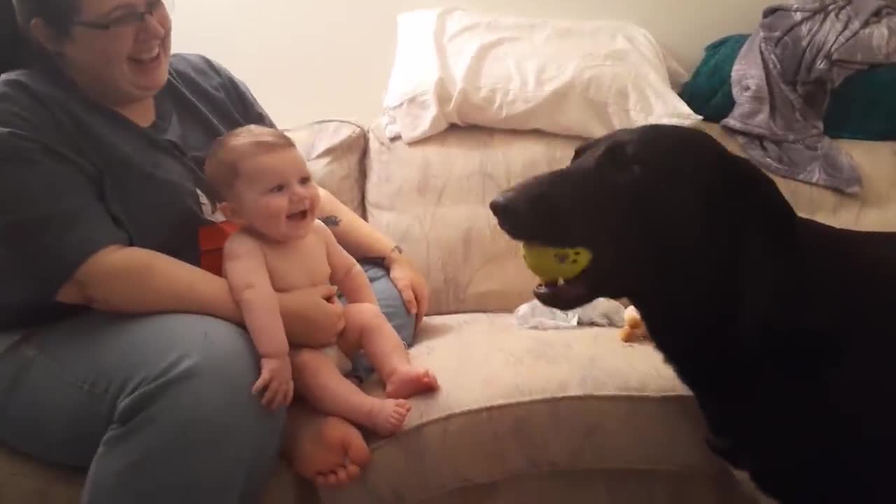 Cute Babies and their Pets