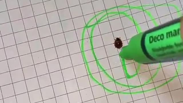 Oddly Satisfying video #shorts
