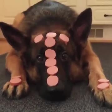 Torture me you are happy, I also have a temper