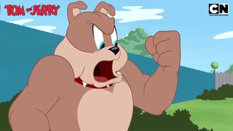 Tom & Jerry Frienemies Forever! Cat and Mouse