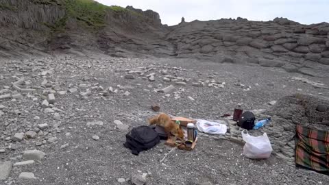 Sneaky fox makes clean escape with hiker's food