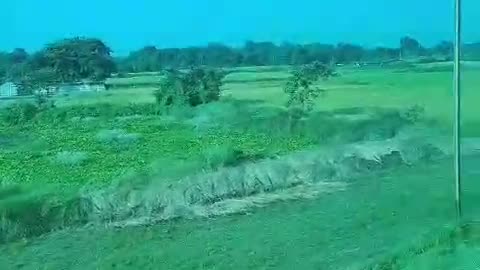 Traveling