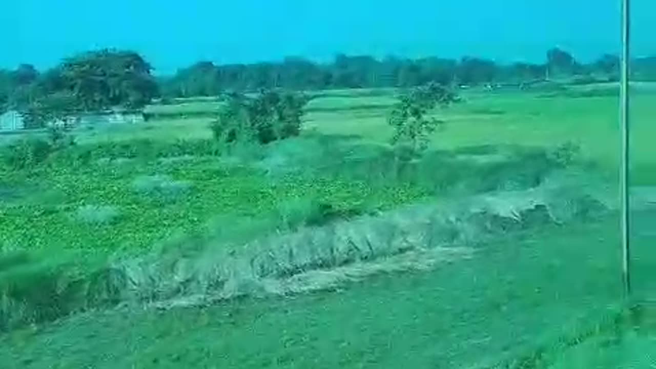 Traveling