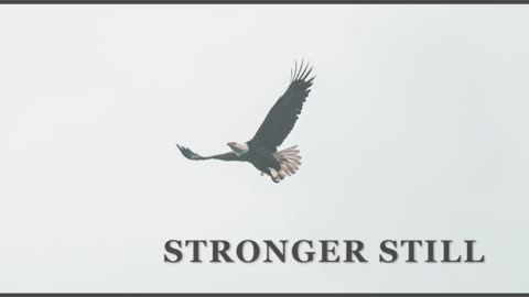 Pray USA 11/30/23 Stronger Still