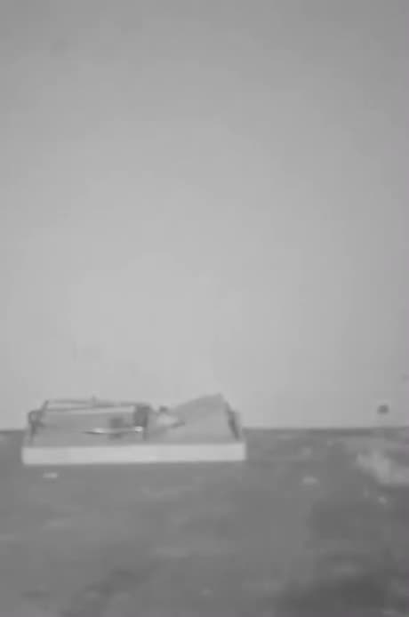 Gli screening servono a trovare il malato nel sano!