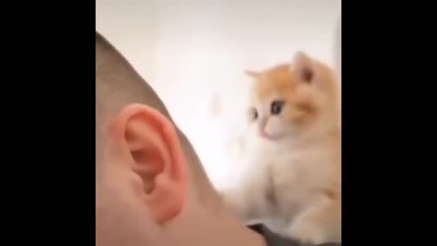 Fun with kitty buddy😻