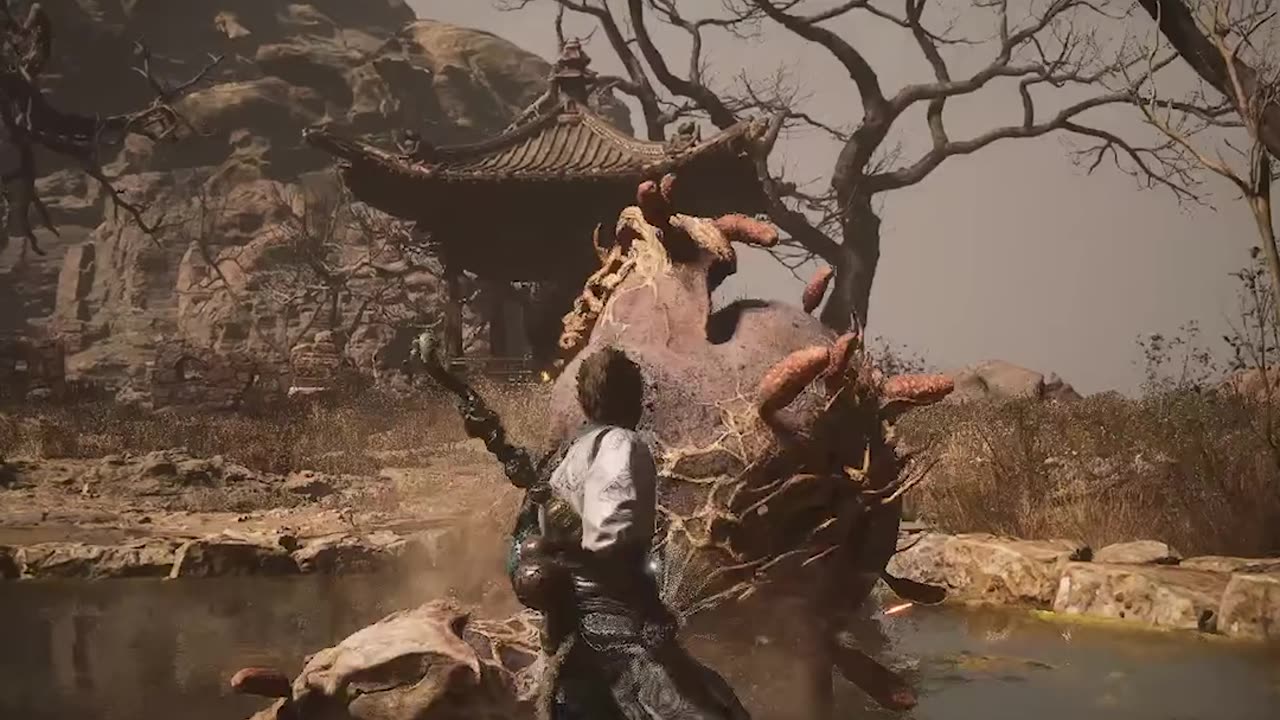 Black Myth: Wukong🔥