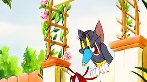 Tom and jerry