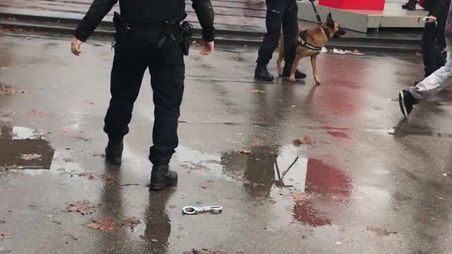 Man Eats Pepper Spray and Tries to Bite Police Dog