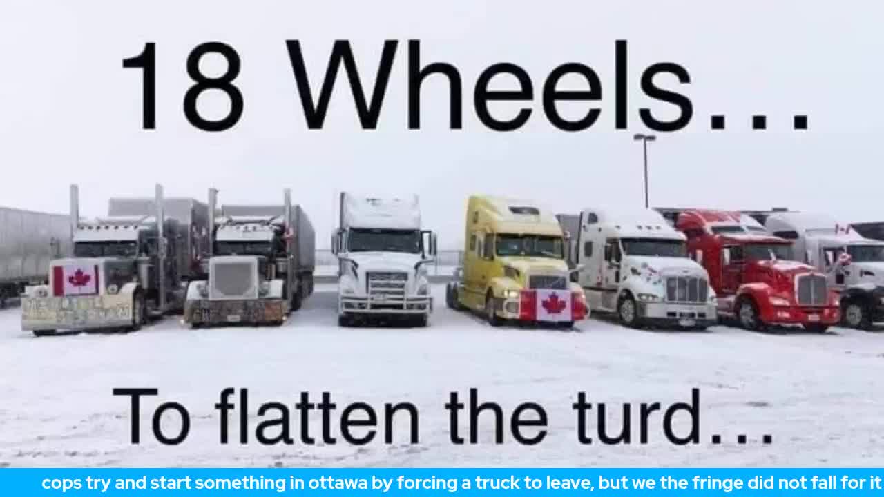 cops try and start something in ottawa by forcing a truck to leave
