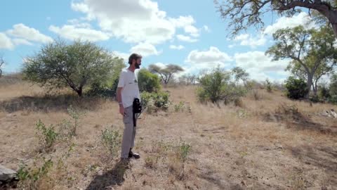 Eye of the Pangolin: The Search for an Animal on the Edge