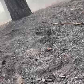 SSO fighters under heavy artillery fire in the border zone of Kharkiv region