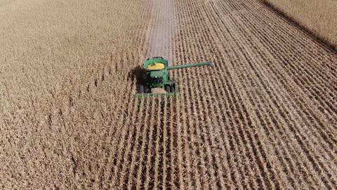 Long flight in front of combine then with grain cart