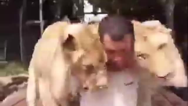 Watch this video animals hug humain