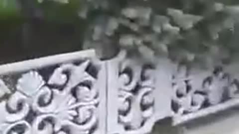 ΔΙΑΜΑΡΤΥΡΙΕΣ ΣΕ ΚΕΝΤΡΟ ΕΠΙΣΤΡΑΤΕΥΣΗΣ