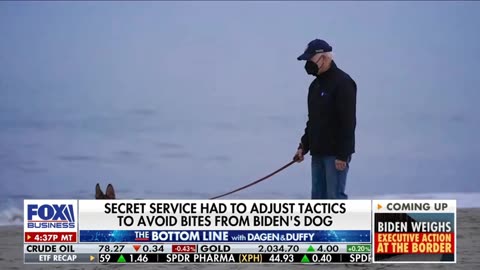 Biden Let His Dog To Attack The Secret Service 24 Times... And Blamed The Agents