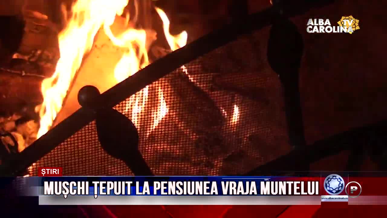 Mușchi țepuit la Pensiunea Vraja Muntelui, Arieșeni