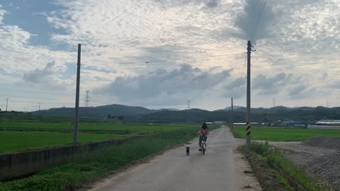 Riding Bicycle with a Dog