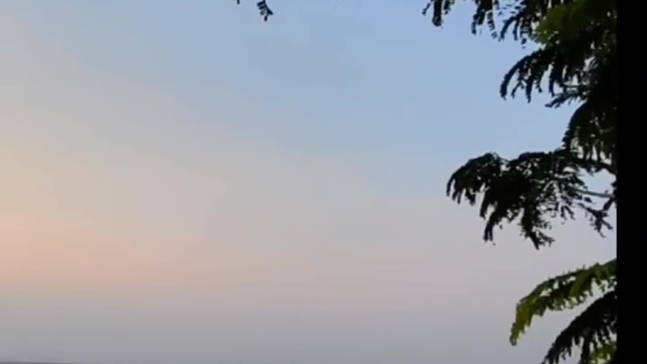 Gighatec city jungle me mungle#shorts#viral#amzing#natural#papular