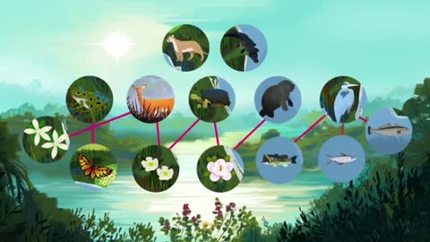 Healthy ecosystems maintain this balance via limiting factors