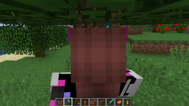 Minecraft 1.17.1_ Modded 3rd time_Outting_1