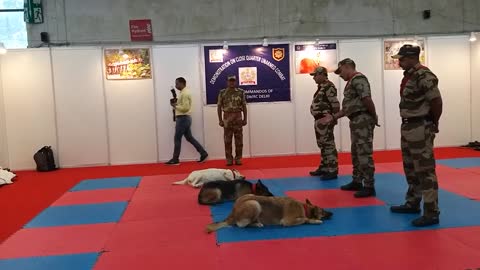 CISF demonstration of Dog Squad