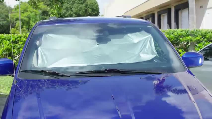 Ontel Brella Shield Car Windshield Sun Shade