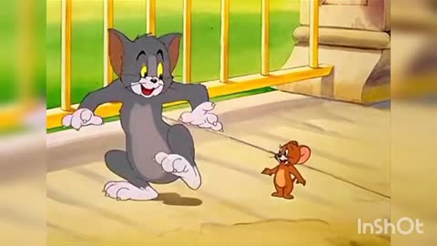 Tom & jerry