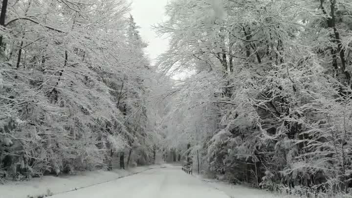 Winter Wonderland