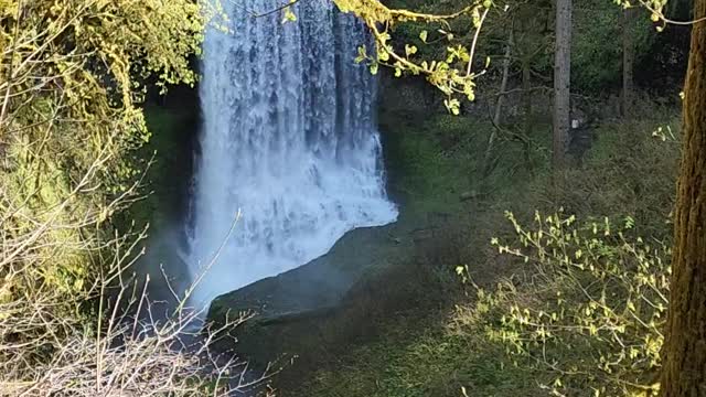 Amazon Falls