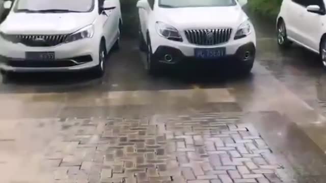 你看過雨是這麼下的嗎
