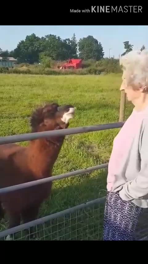 Magic turned against the magician