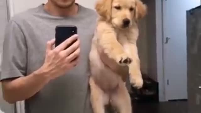 watch this puppy grow