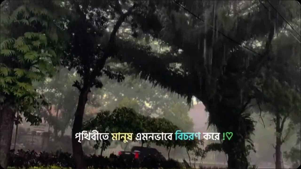 ইসলামিক ভিডিও