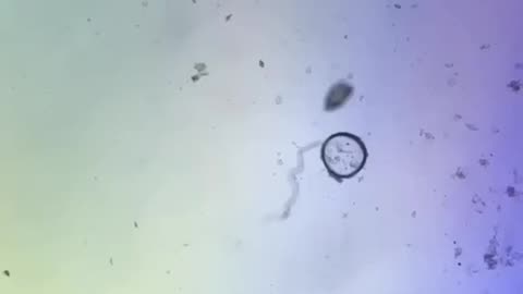Water in microscopic